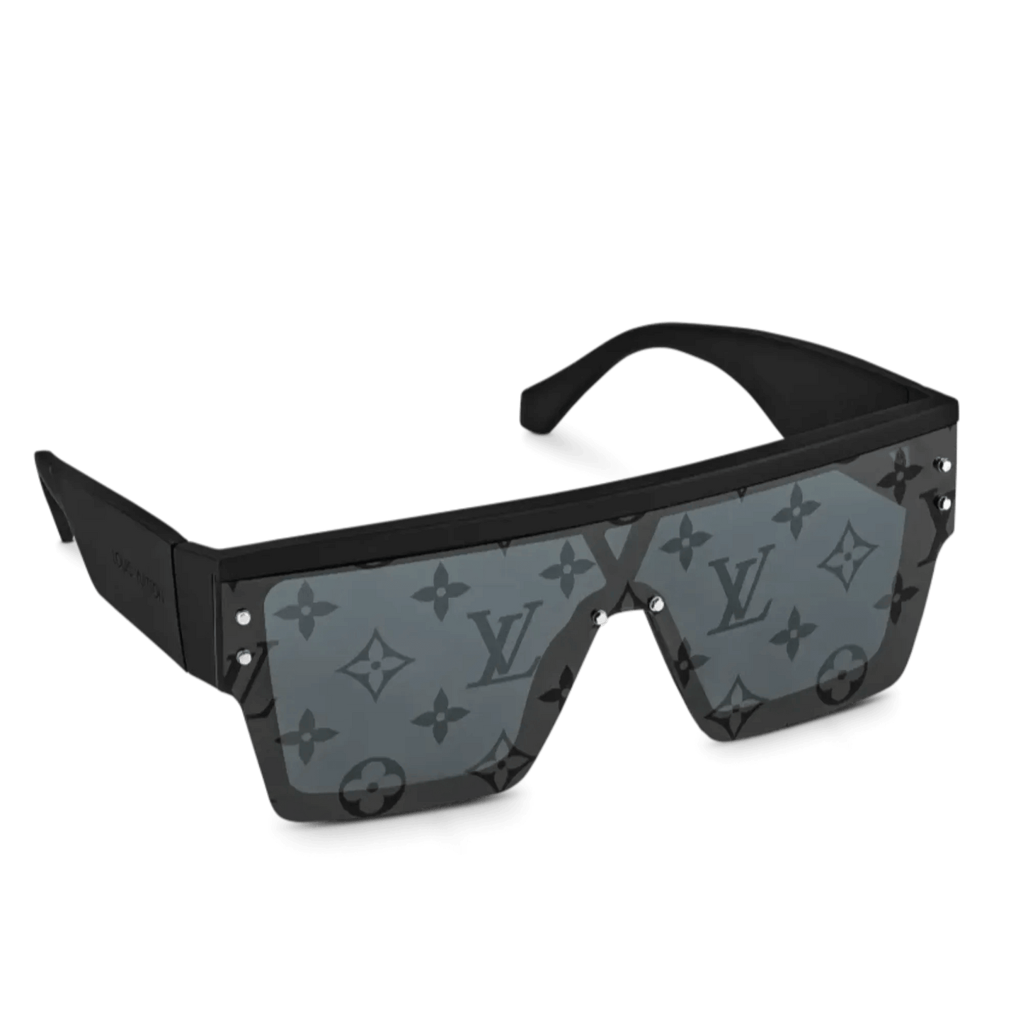 Louis Vuitton LV Waimea L