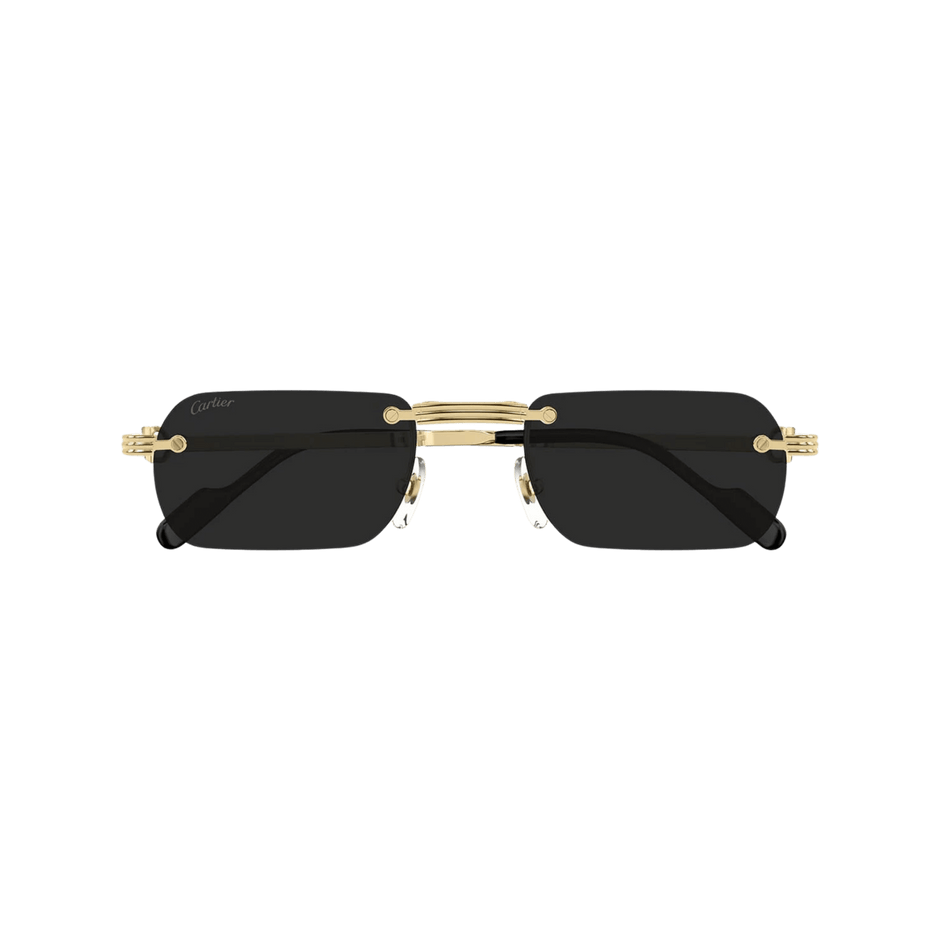 Cartier CT0499S